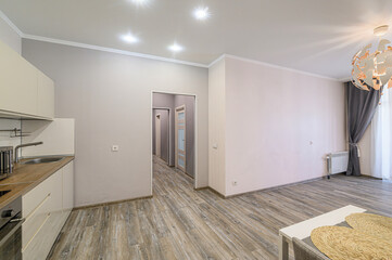 Bright apartment interior: kitchen area and living space with wood-look flooring, neutral walls, and modern lighting