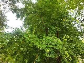 Beautiful nature photos