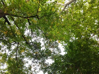 Beautiful nature photos