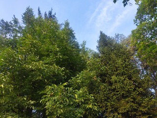 Beautiful nature photos