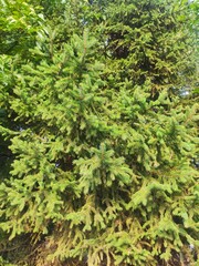 Beautiful nature photos