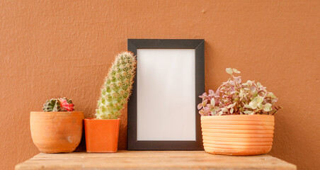 Three potted plants, including cacti and succulents, are arranged on a wooden shelf with a blank...