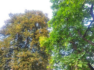 Beautiful nature photos