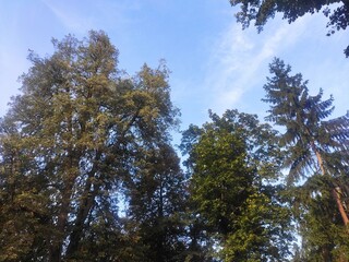 Beautiful nature photos