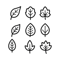 Collection of nine simple hand drawn outline leaf illustrations in a grid pattern