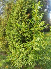 Beautiful nature photos