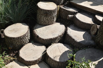 Escalierde bois au jardin