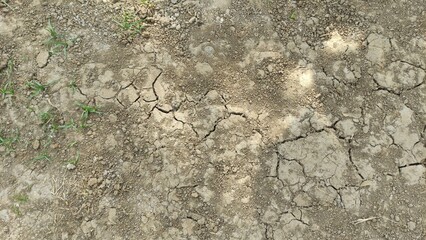 This photo shows dry cracked soil, a natural sign of drought and climate change. Perfect for environmental blogs, educational content, research projects, and texture backgrounds.