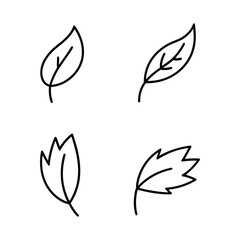 Simple hand drawn outline illustrations of four different leaf shapes
