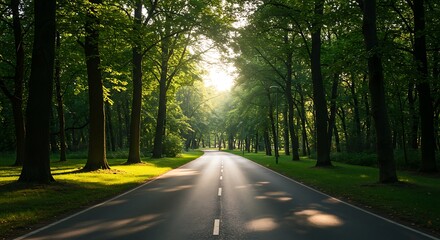 Fototapeta premium Sunlit Road Through Lush Forest.