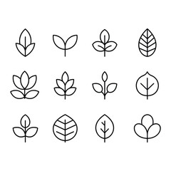 Collection of simple line art illustrations of various leaf shapes and botanical elements