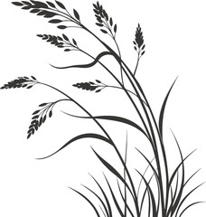 Black silhouette of wild grass with seed heads on white background. Elegant botanical illustration perfect for design, print, or nature art projects. Minimal natural vector decoration.