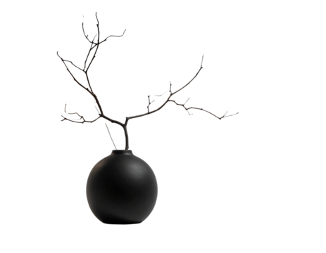 Scandinavian White Cabinet with Matte Black Vase and Sculptural Branch PNG.