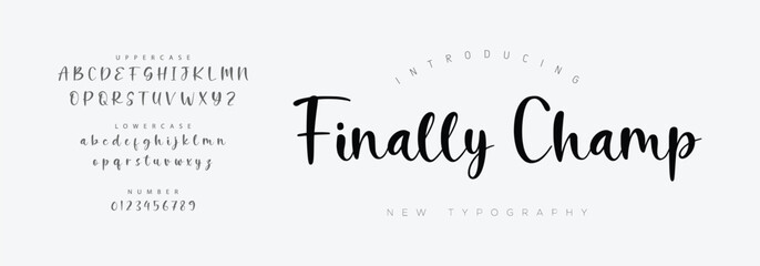 Signature Font Uppercase Lowercase And Number. Script Font Calligraphy Logotype  elegant Font Type Font lettering handwritten. vector illustration  
