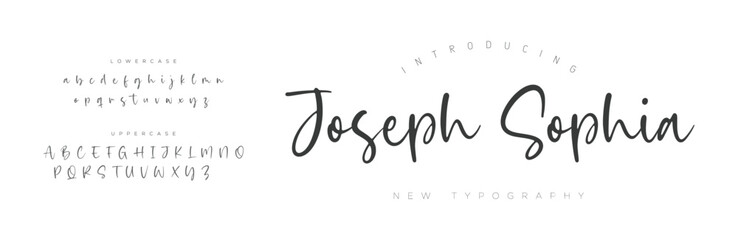 Signature Font Uppercase Lowercase And Number. Script Font Calligraphy Logotype  elegant Font Type Font lettering handwritten. vector illustration  
