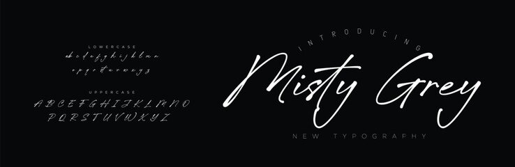 Signature Font Uppercase Lowercase And Number. Script Font Calligraphy Logotype  elegant Font Type Font lettering handwritten. vector illustration  
