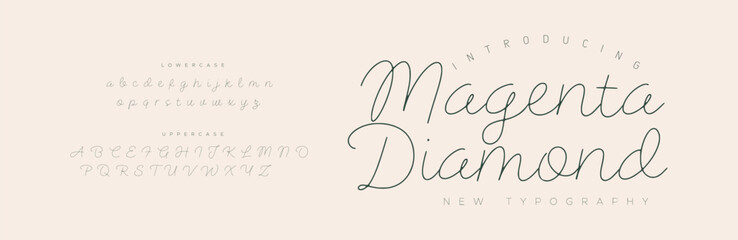 Signature Font Uppercase Lowercase And Number. Script Font Calligraphy Logotype  elegant Font Type Font lettering handwritten. vector illustration  
