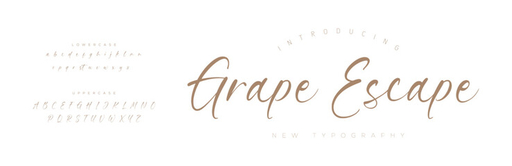 Signature Font Uppercase Lowercase And Number. Script Font Calligraphy Logotype  elegant Font Type Font lettering handwritten. vector illustration  
