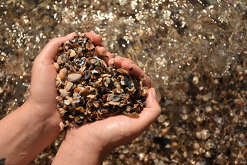 Close-up top view of hands holding small seashells arranged in the shape of a heart, with the sea and horizon in the background, romantic seaside and summer vacation concept.
