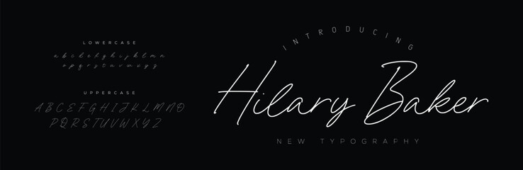 Signature Font Uppercase Lowercase And Number. Script Font Calligraphy Logotype  elegant Font Type Font lettering handwritten. vector illustration  
