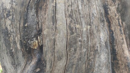 This photo captures a close-up texture of old tree bark, showing natural wooden patterns. Ideal for design projects, nature blogs, environmental studies, and texture backgrounds.