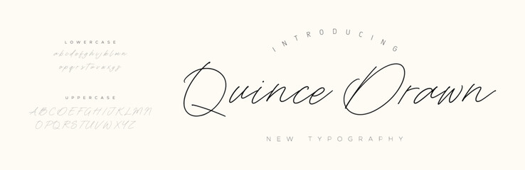 Signature Font Uppercase Lowercase And Number. Script Font Calligraphy Logotype  elegant Font Type Font lettering handwritten. vector illustration  
