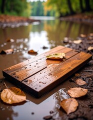 Wooden plank resting in a puddle amongst autumn leaves
