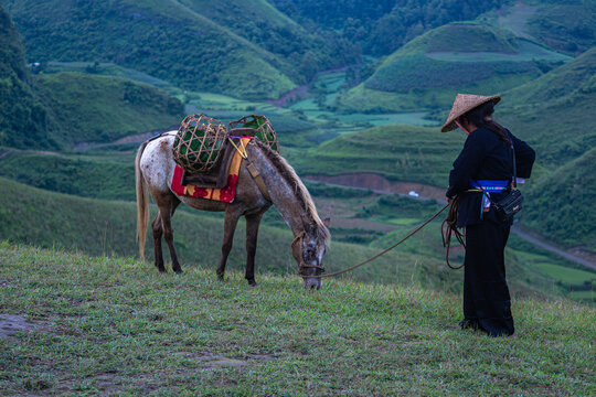 Dawn on the high mountain peaks of Ha Lang area, with pack horses and people going to work. Photo taken in Ha Lang, Cao Bang on August 30, 2025