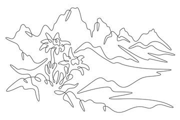 Continuous one line drawing Alpine flowers. Mountain flowers. Mountain landscape. One continuous line isolated minimal illustration.Not AI.
