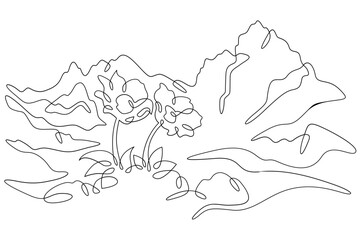 Continuous one line drawing Alpine flowers. Mountain flowers. Mountain landscape. One continuous line isolated minimal illustration.Not AI.