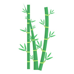 Lush green bamboo stalks with vibrant leaves against a clean white background, symbolizing nature