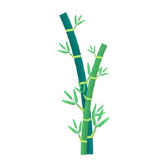 Two vibrant bamboo stalks with fresh green leaves, showcasing nature's growth and resilience