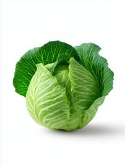 Fototapeta premium Fresh green cabbage isolated on white background food photography natural ingredients minimalist style high-quality image