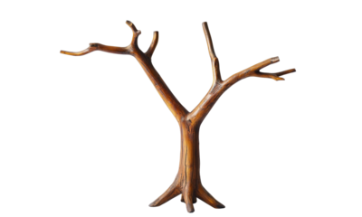 Leafless wooden tree trunk with branching limbs, textured bark and natural wood grain forming a Y-shaped silhouette