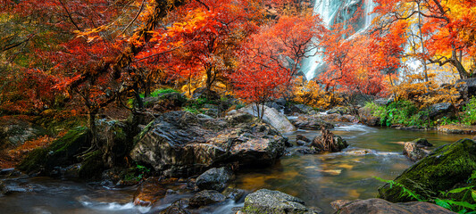 Amazing in nature, beautiful waterfall at colorful autumn forest in fall season	