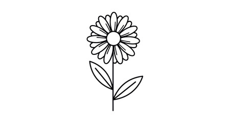 Simple Daisy Flower Line Art Illustration.