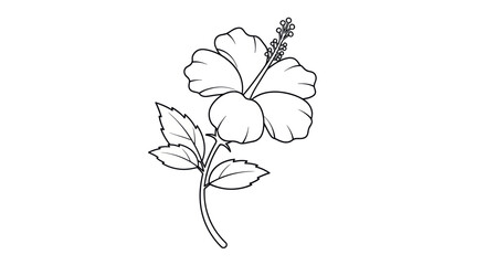 Detailed Black and White Hibiscus Flower Illustration on Stem. © Maryati