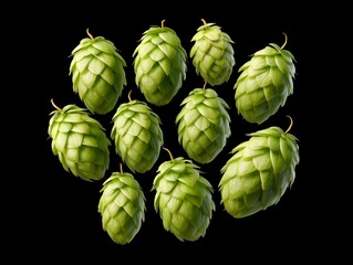 Obraz premium Hops harvesting event farm location food photography isolated background close-up view brewing ingredient concept