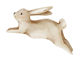 Rabbit Side View  Vector