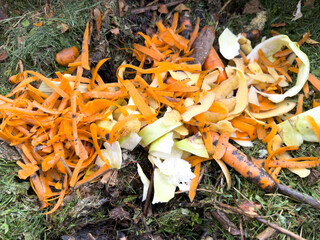 Closeup of organic compost with carrot peels, vegetable scraps, and grass, showing biodegradable...