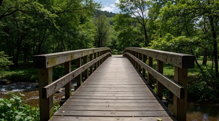 Fototapeta premium wooden bridge in the woods