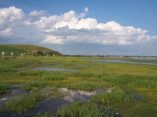 landscape with river