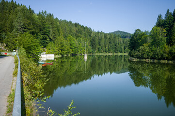 Lake and Forest Serenity