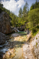 Mountain Stream Through Forested Gorge