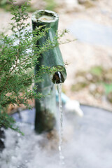 water flowing into the garden