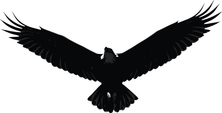 Majestic bird silhouette flying with wings wide open, powerful eagle or hawk vector perfect for nature, freedom, wildlife, and sky themes.