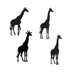 giraffe silhouette black digital art vector illustration