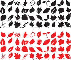 outline, range, from, simple, assortment, silhouette, graphic, illustration, including, designs, themes., botanical, well, seasons, seasonal, vector, maple, foliage, sprout, collection, detailed, leaf