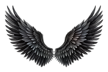 Dark feathered wings spread isolated on a transparent background