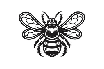 Detailed Honeybee Insect Design in Striking Black on White Background